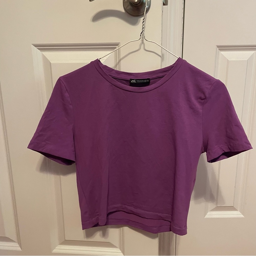 Zara Cropped Top